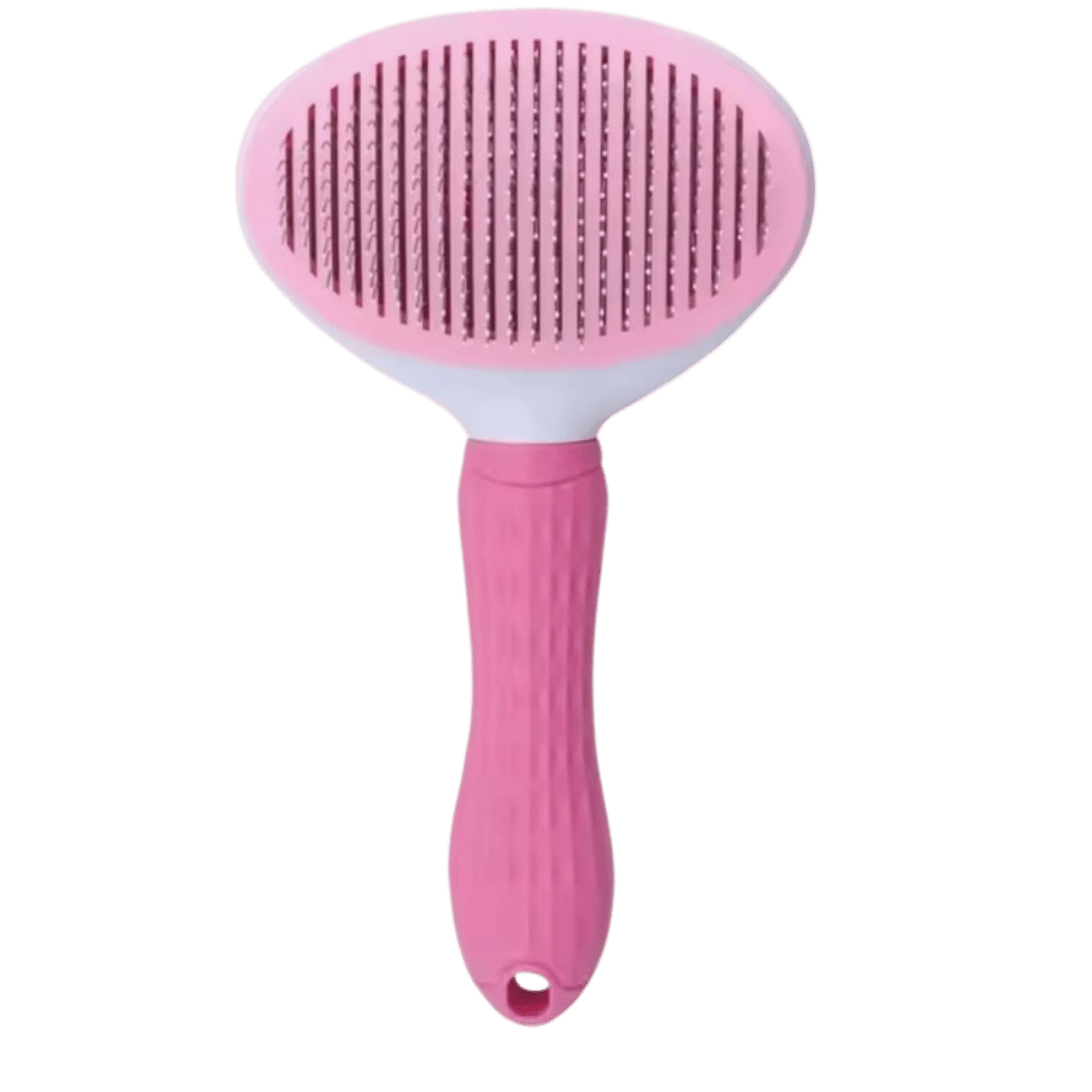 brosse pour chien et chat