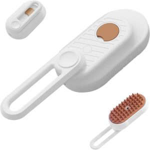 Brosse à vapeur