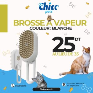 Brosse à vapeur